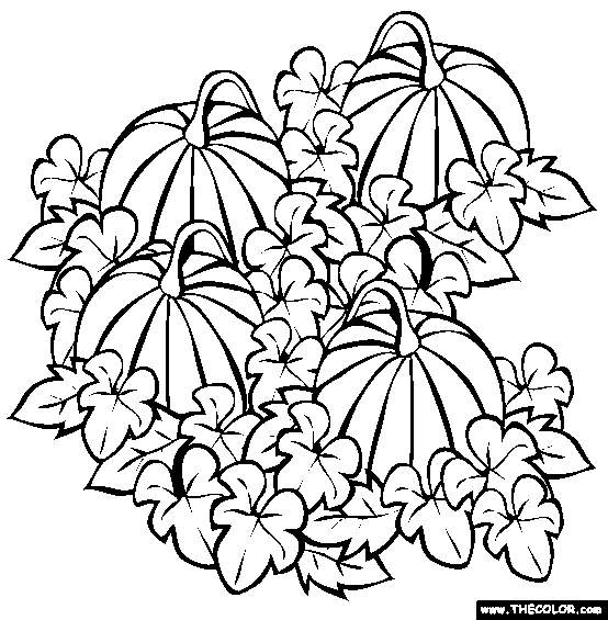 coloring pages for pumpkins free printable pumpkin coloring pages for kids halloween pumpkins for pages coloring 