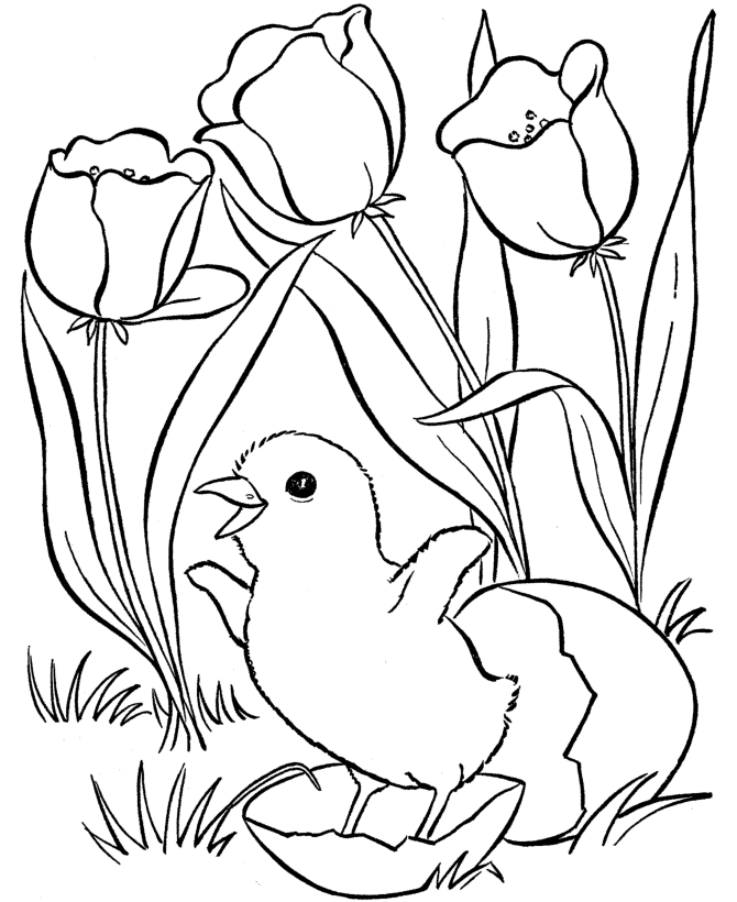 coloring pages for spring coloring pages spring coloring pages 2011 pages spring for coloring 