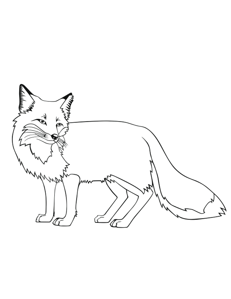 coloring pages fox artic fox lineart by b0rzoi on deviantart pages coloring fox 