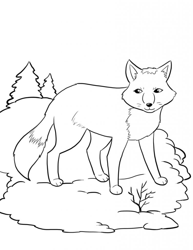 coloring pages fox fox coloring pages fox coloring page coloring pages fox coloring pages 
