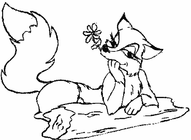 coloring pages fox fox coloring pages to download and print for free coloring pages fox 