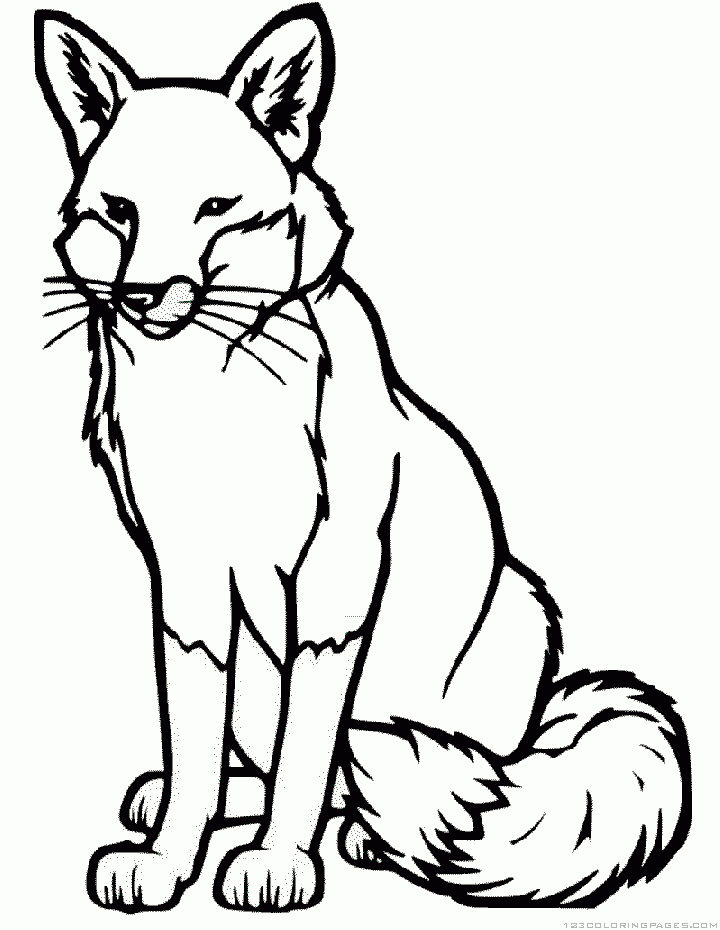 coloring pages fox the fox and stork sheet coloring pages sketch coloring page fox coloring pages 
