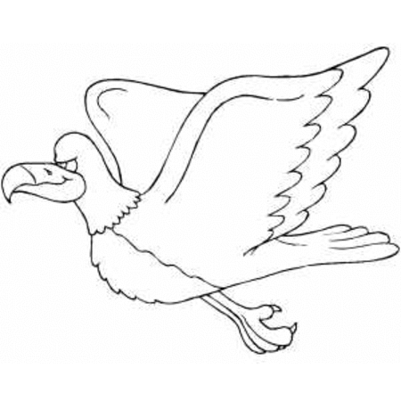coloring pages of birds flying free flying bird coloring pages gtgt disney coloring pages coloring pages of birds flying 
