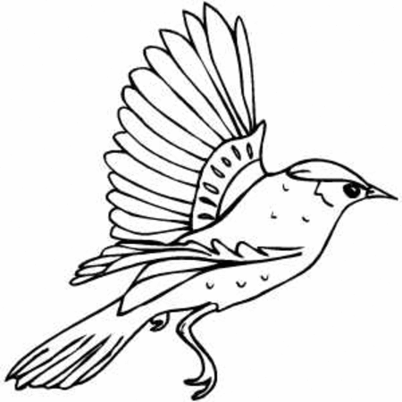 coloring pages of birds flying free flying bird coloring pages gtgt disney coloring pages pages flying of birds coloring 