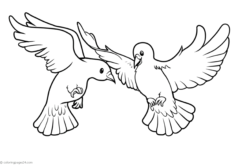 coloring pages of birds flying seagull outline free download best seagull outline on pages flying of coloring birds 