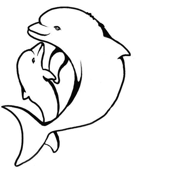 coloring pages of dolphins dolphin template animal templates free premium templates pages dolphins of coloring 