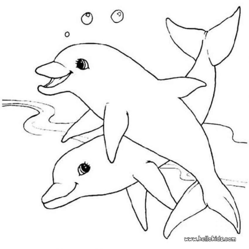 coloring pages of dolphins two dolphins coloring pages hellokidscom dolphins coloring of pages 