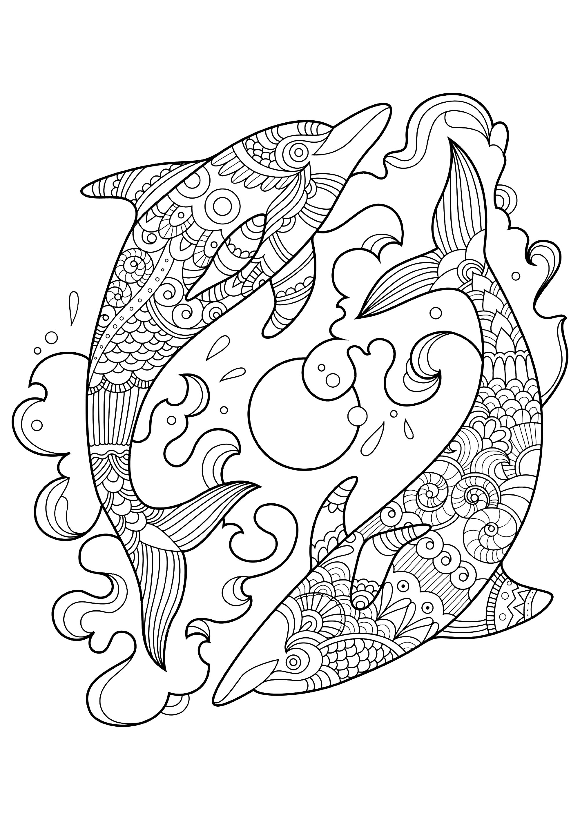 coloring pages of dolphins two dolphins in the ocean dolphins adult coloring pages dolphins pages coloring of 