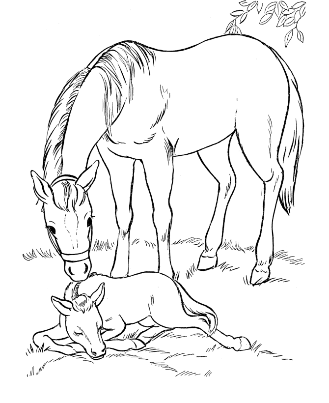coloring pages of horses to print horse coloring pages preschool and kindergarten coloring of to print horses pages 