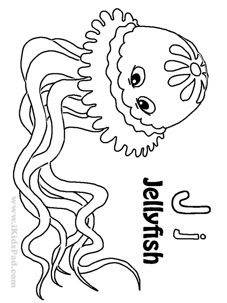 coloring pages of jellyfish cute jellyfish and seahorse coloring pages big bang fish jellyfish coloring of pages 
