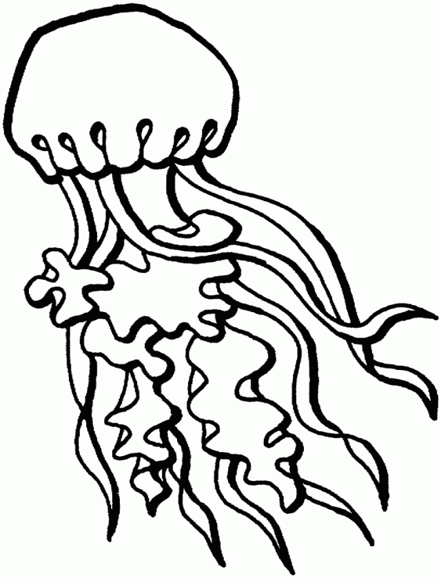 coloring pages of jellyfish jellyfish free printable coloring pages jellyfish coloring pages of 