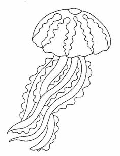 coloring pages of jellyfish jellyfish outline clipartsco jellyfish of pages coloring 