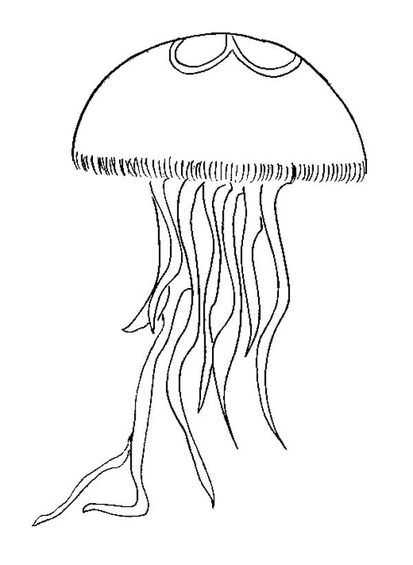 coloring pages of jellyfish under the sea coloring pages mr printables pages jellyfish coloring of 