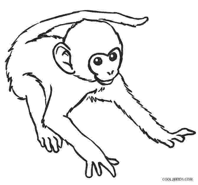 coloring pages of monkeys cute monkeys coloring pages getcoloringpagescom coloring monkeys of pages 