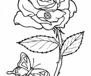 coloring pages of roses and butterflies coloriage rose d39amour dessin gratuit à imprimer pages coloring butterflies of and roses 