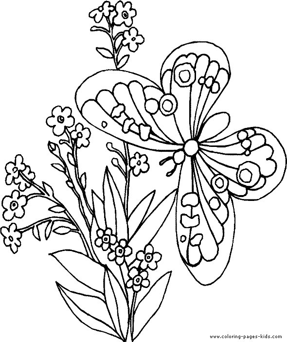 coloring pages of roses and butterflies colours drawing wallpaper beautiful colour butterflies coloring butterflies and roses of pages 