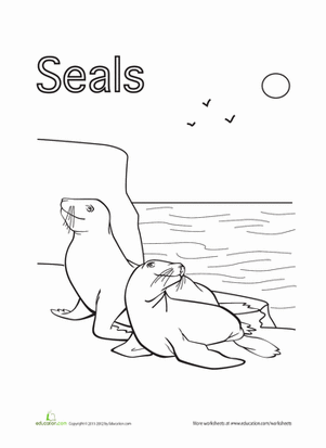 coloring pages of seals how to draw a baby seal baby seal pup step by step sea pages of coloring seals 