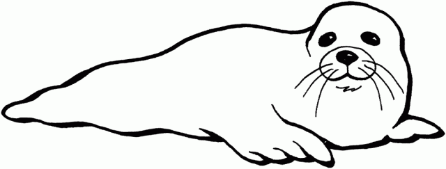 coloring pages of seals redirecting to httpwwwsheknowscomparentingslideshow coloring pages seals of 