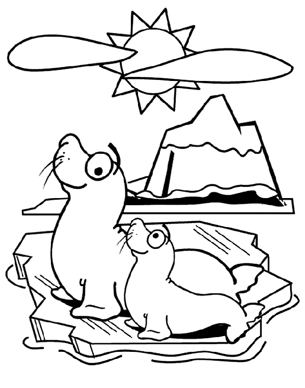 coloring pages of seals seal coloring pages coloring seals of pages 