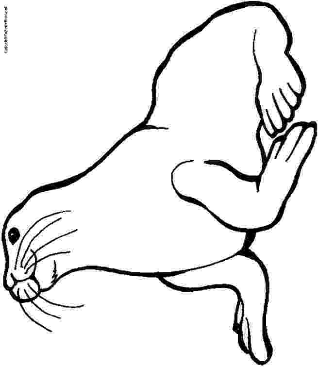 coloring pages of seals seal coloring pages download and print for free seals coloring pages of 