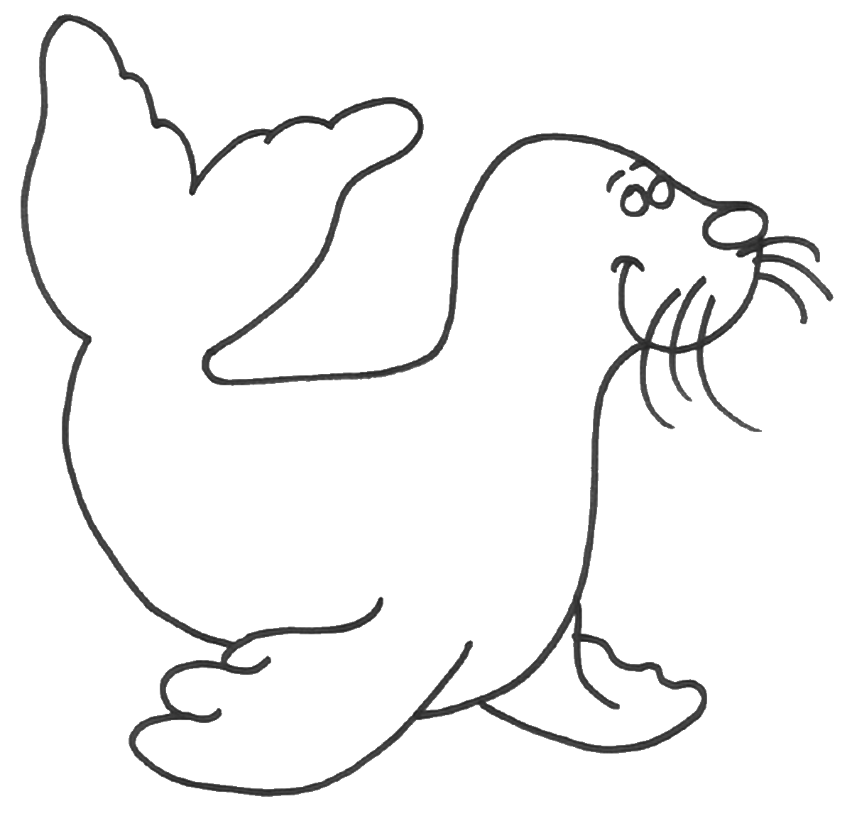 coloring pages of seals seal coloring pages free coloring pages and coloring of pages seals coloring 