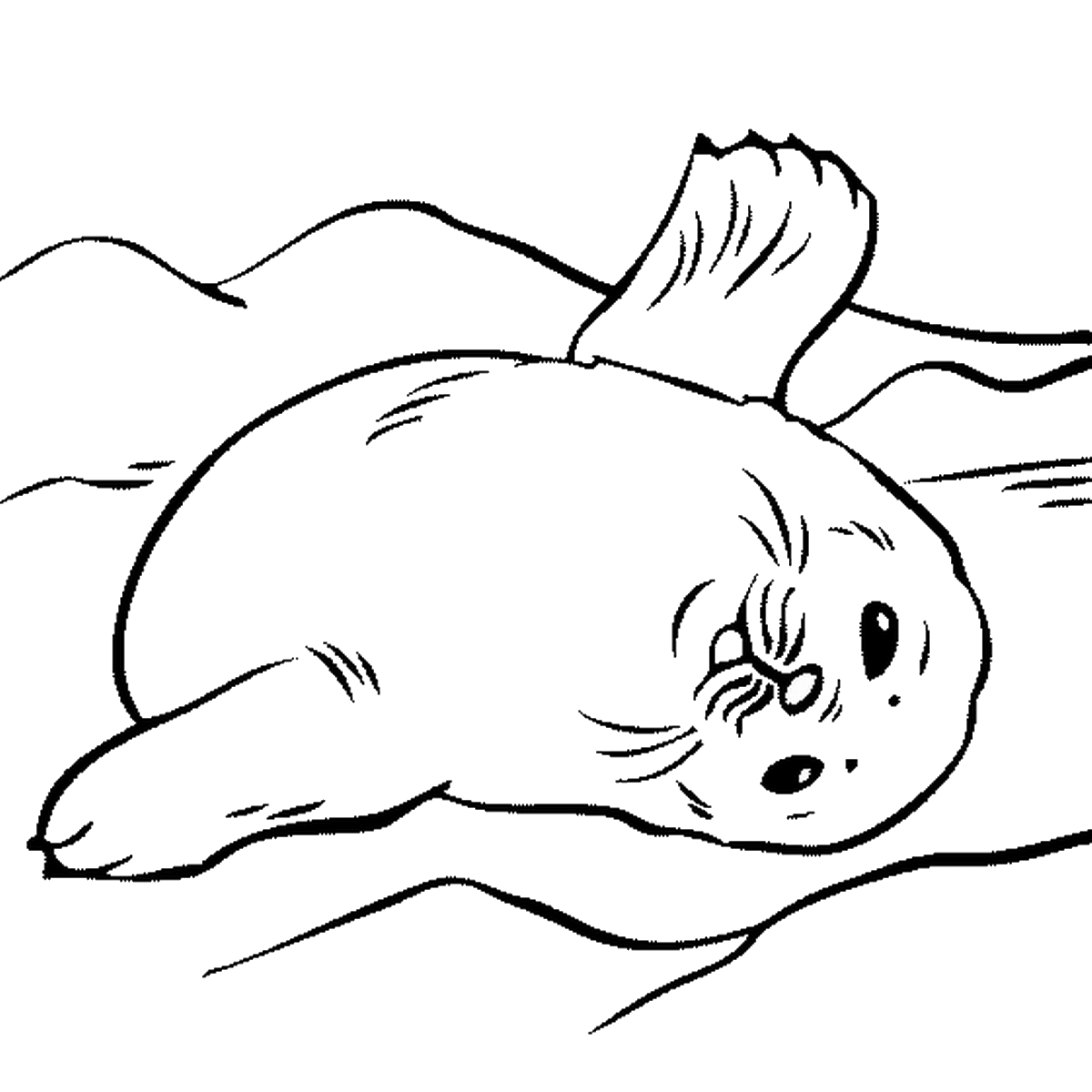 coloring pages of seals seal coloring pages getcoloringpagescom coloring pages of seals 