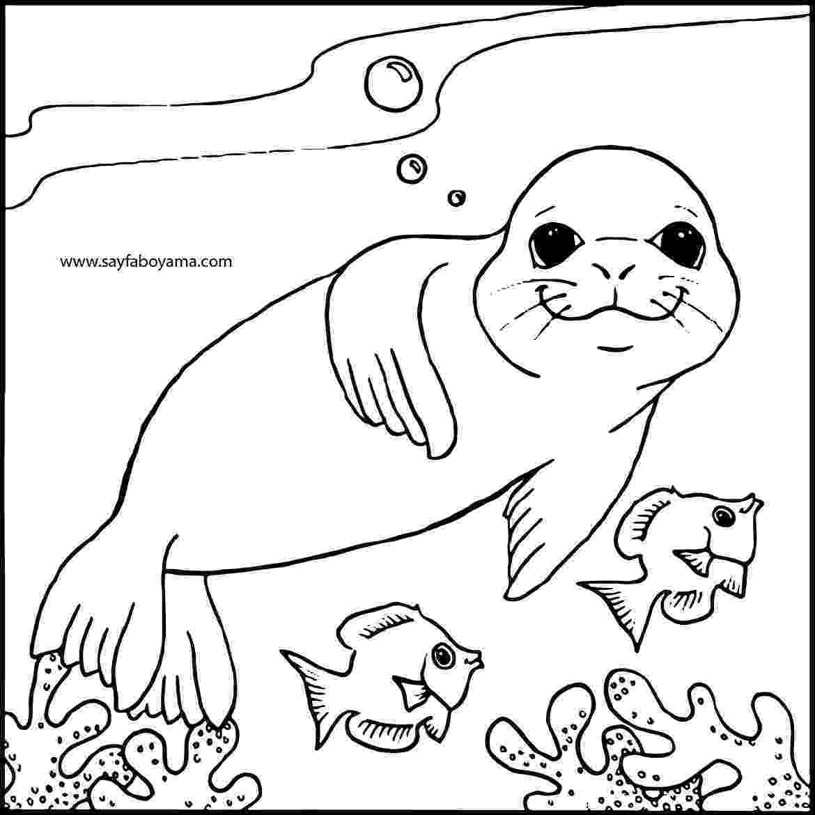 coloring pages of seals state of the week 07 maryland askanamerican seals of pages coloring 