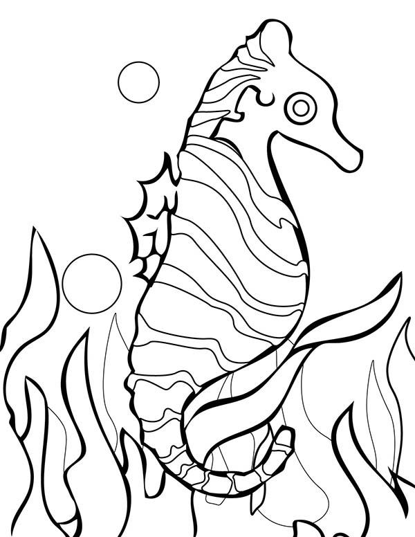coloring pages of seaweed cute seahorse quotes quotesgram coloring pages seaweed of 