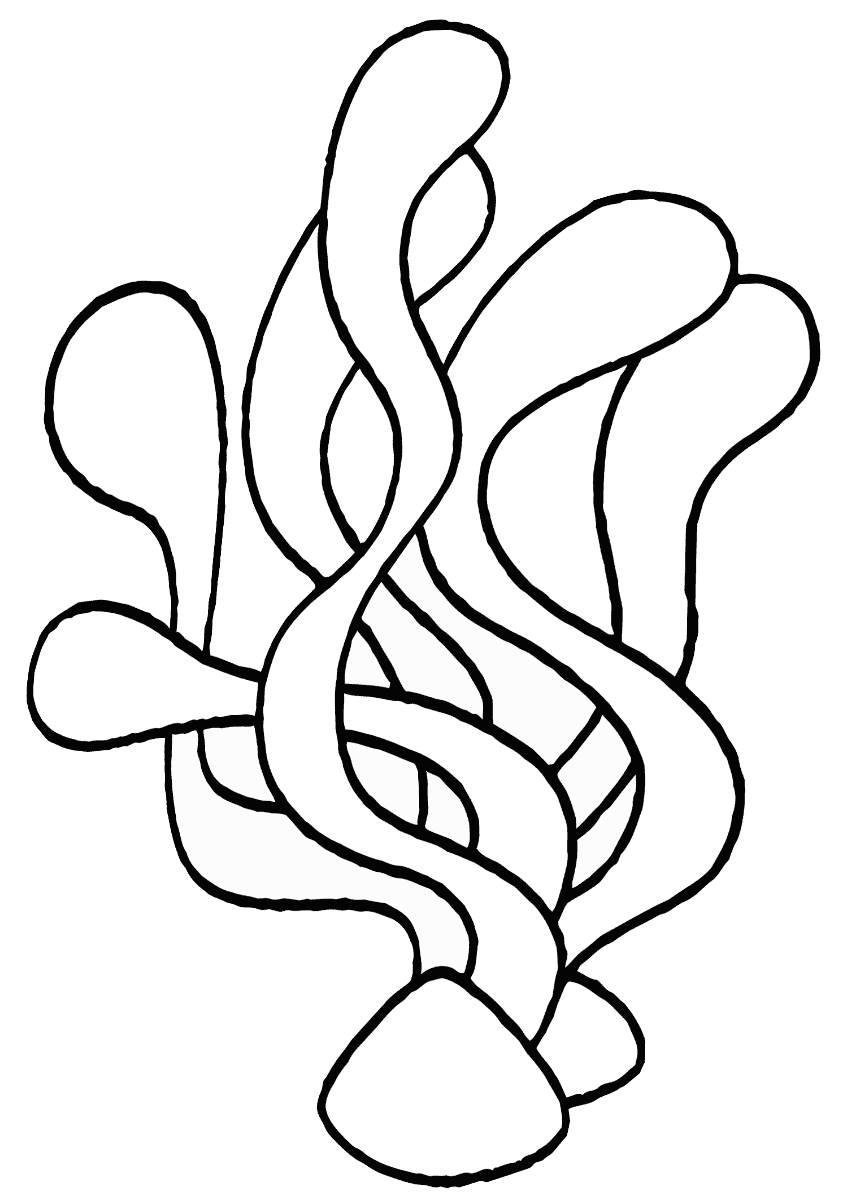 coloring pages of seaweed seaweed coloring pages coloring pages to download and print coloring seaweed pages of 