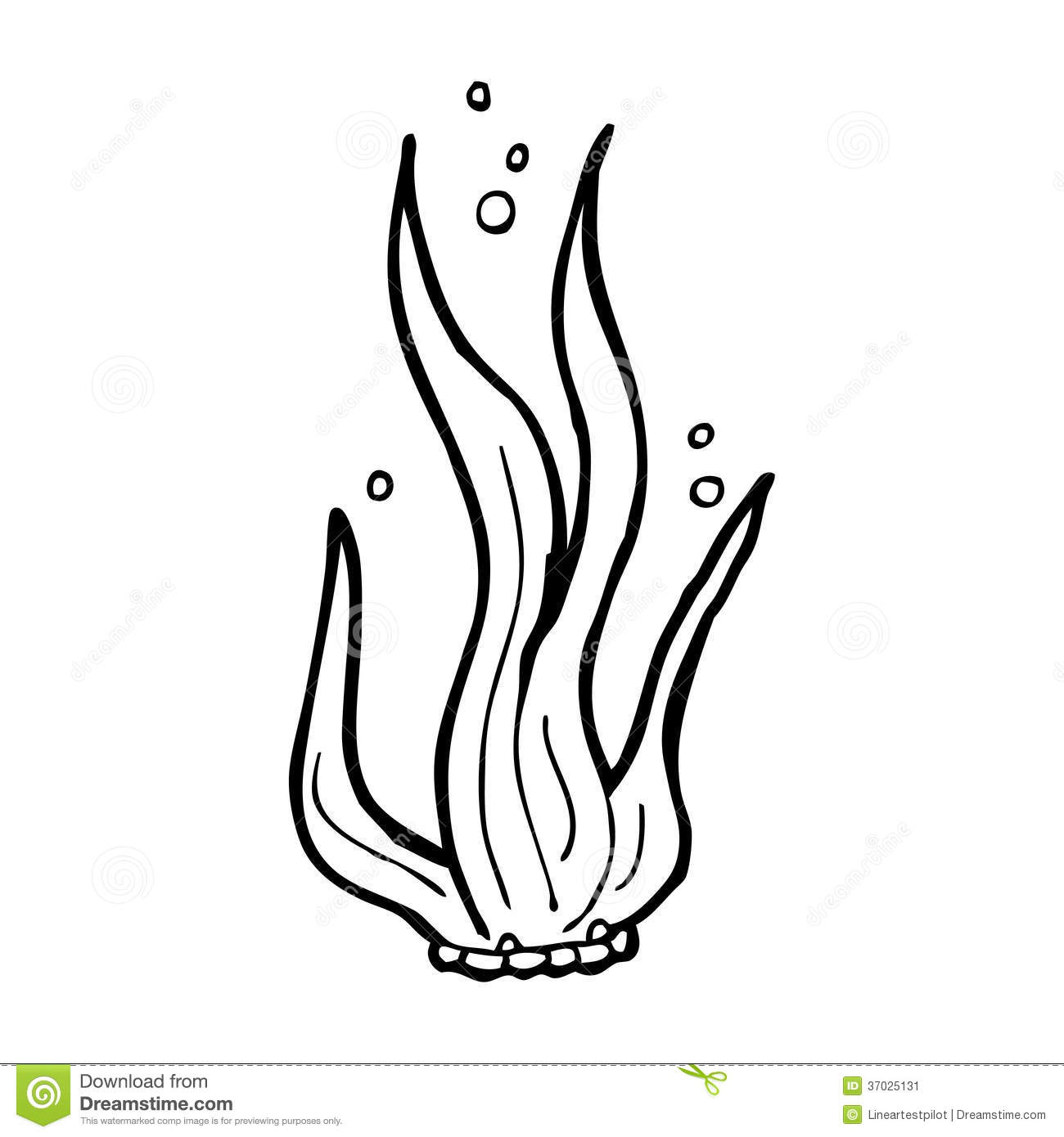 coloring pages of seaweed seaweed coloring pages to download and print for free pages seaweed coloring of 