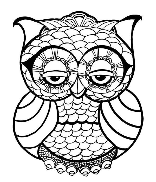 coloring pages owl couple of cute owls coloring page free printable coloring owl pages 