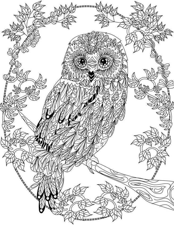 coloring pages owl cute owl coloring page free printable coloring pages coloring pages owl 