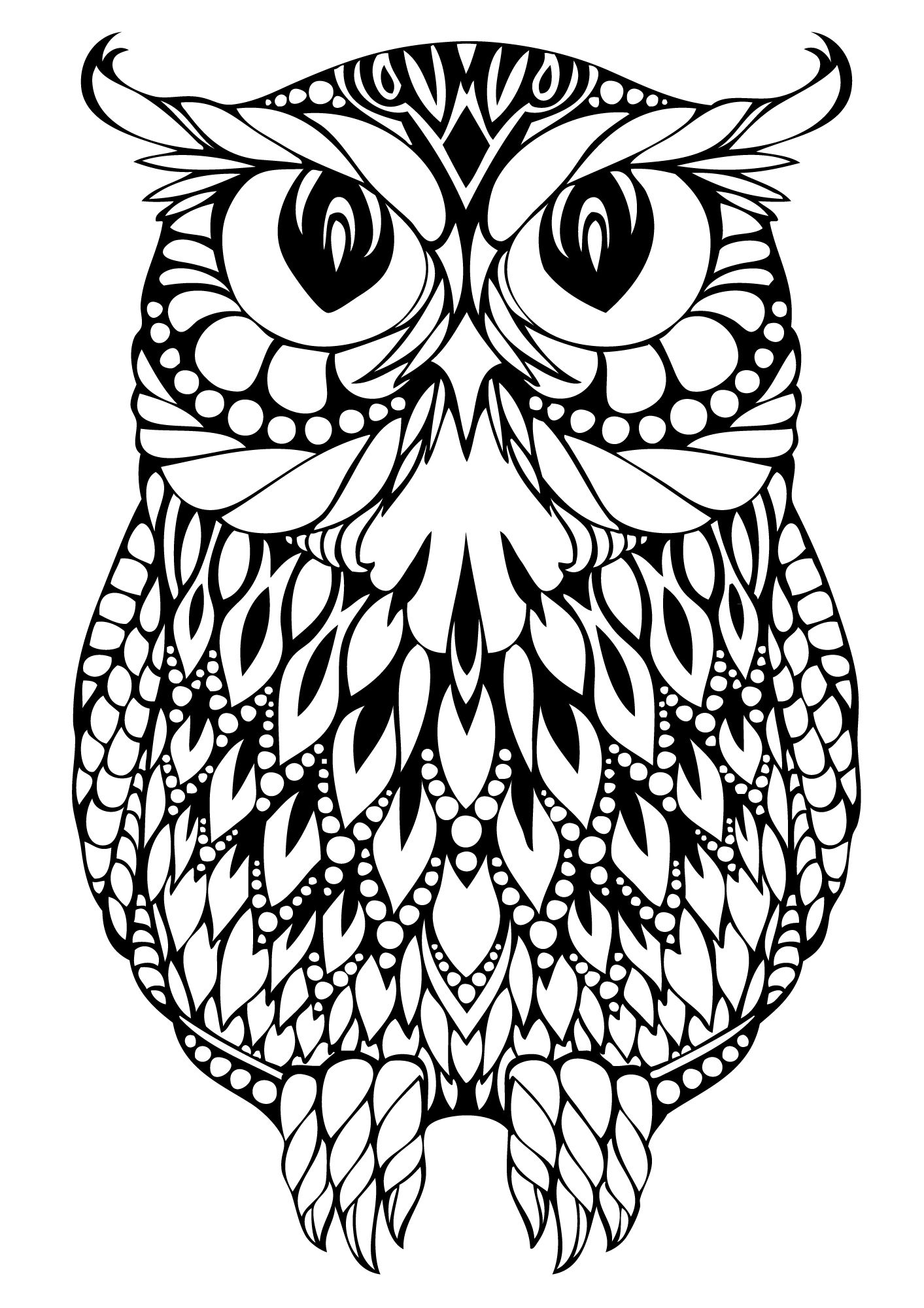 coloring pages owl owl coloring pages adult coloring pages coloring owl coloring owl pages 