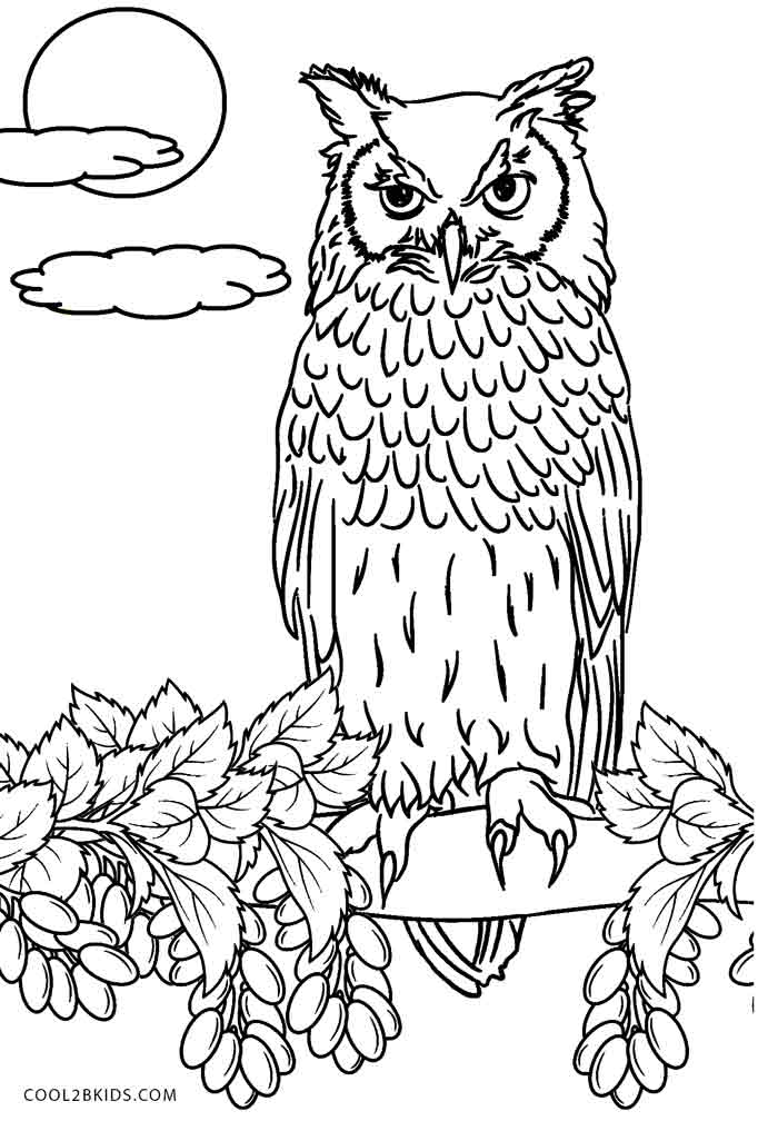 coloring pages owl owls animal coloring pages pictures coloring pages owl 