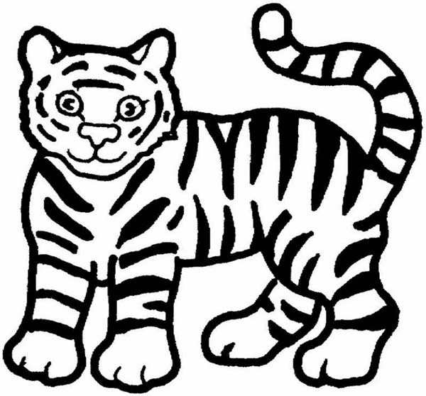coloring pages tiger cubs coloring pages tiger cubs coloring home coloring cubs tiger pages 
