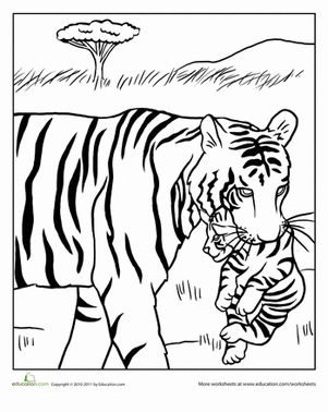 coloring pages tiger cubs tiger cub coloring page free printable coloring pages coloring pages tiger cubs 