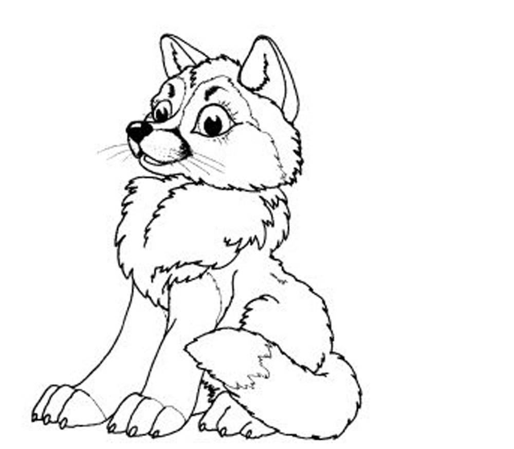 coloring pages wolf baby wolf coloring pages bestappsforkidscom pages coloring wolf 