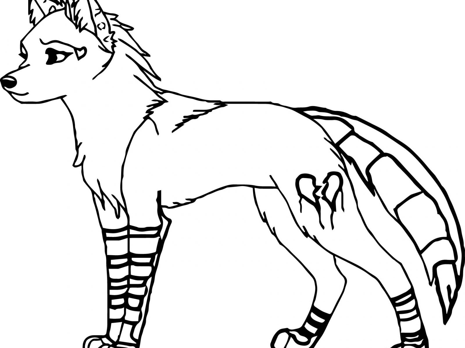 coloring pages wolf female wolf drawing at getdrawingscom free for personal wolf pages coloring 