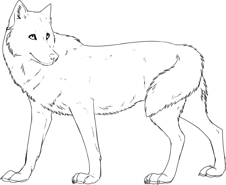coloring pages wolf free printable wolf coloring pages for kids wolf coloring pages 1 1