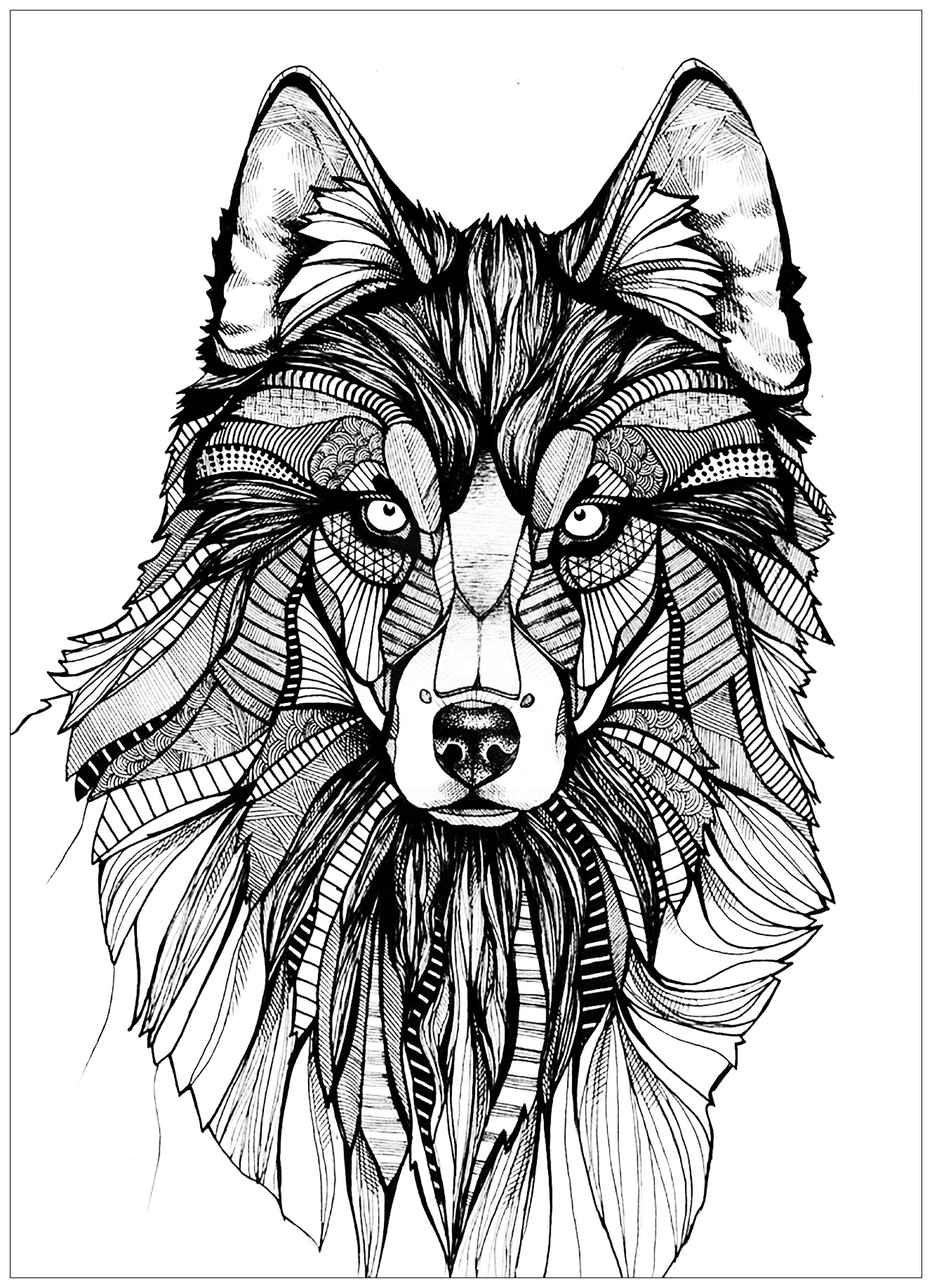 coloring pages wolf wolf 3 wolves adult coloring pages pages coloring wolf 