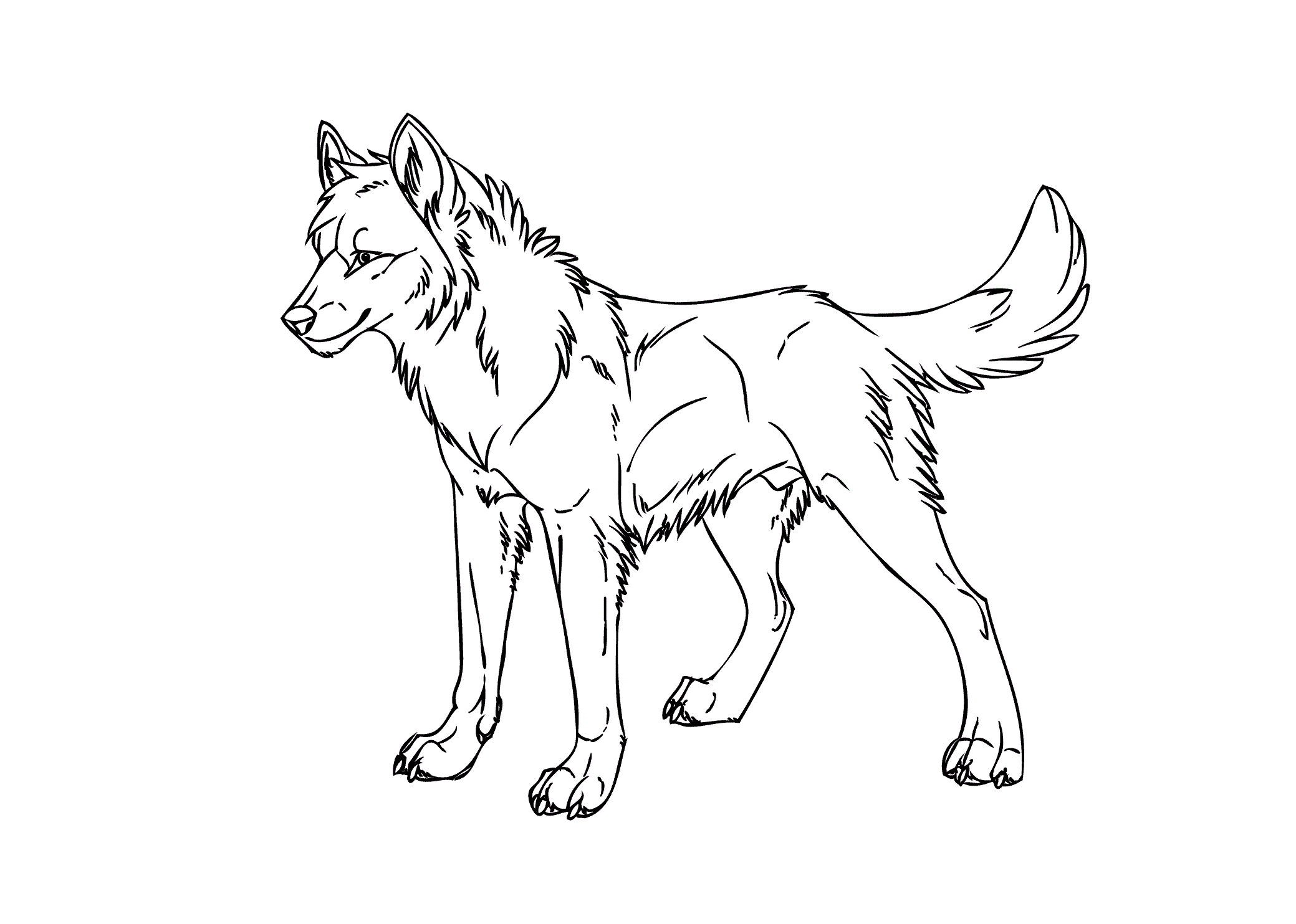 coloring pages wolf wolf drawing for kids at getdrawingscom free for coloring wolf pages 