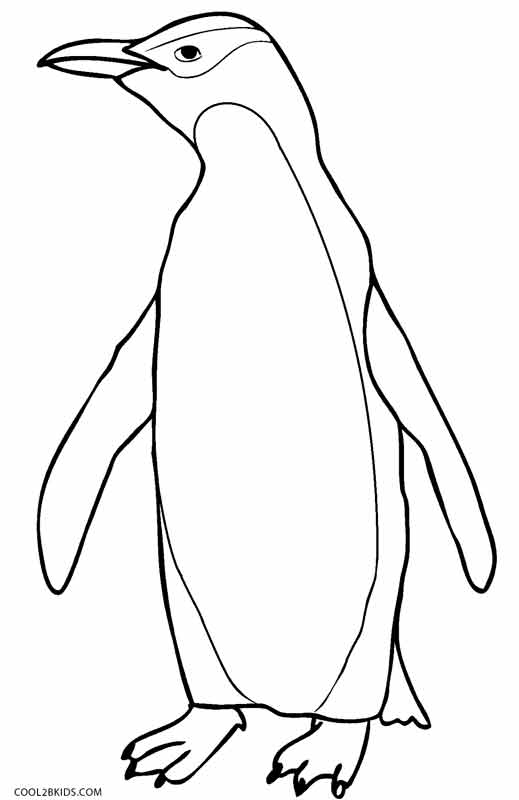 coloring penguin penguin coloring pages free printable for kids coloring penguin 