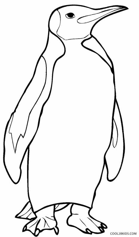coloring penguin printable penguin coloring pages for kids cool2bkids coloring penguin 