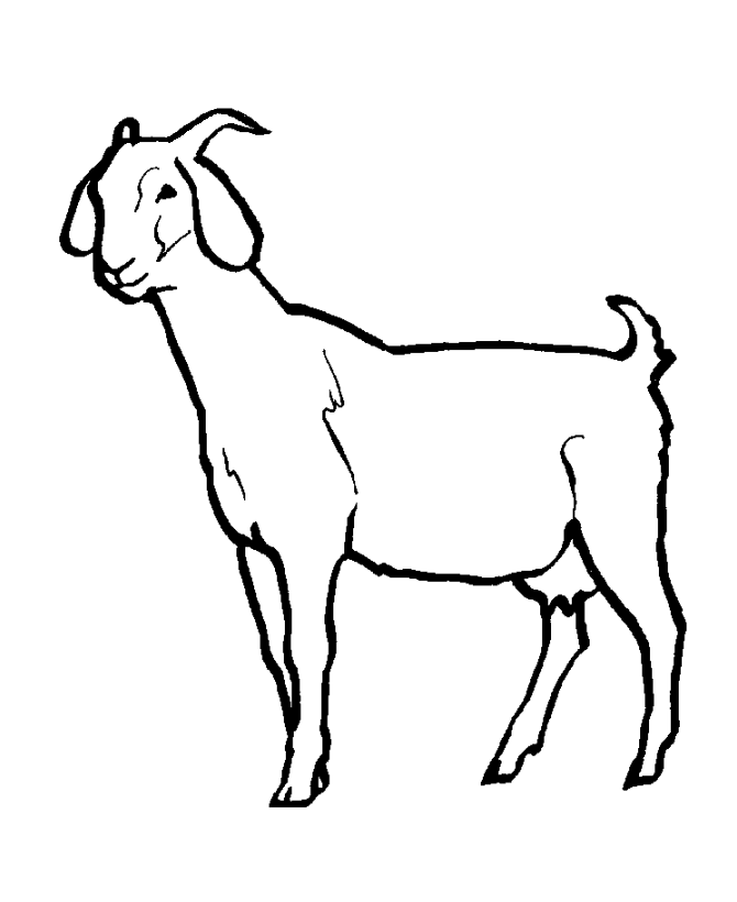 coloring picture of a goat 19 animal goats printable coloring sheet a of goat coloring picture 