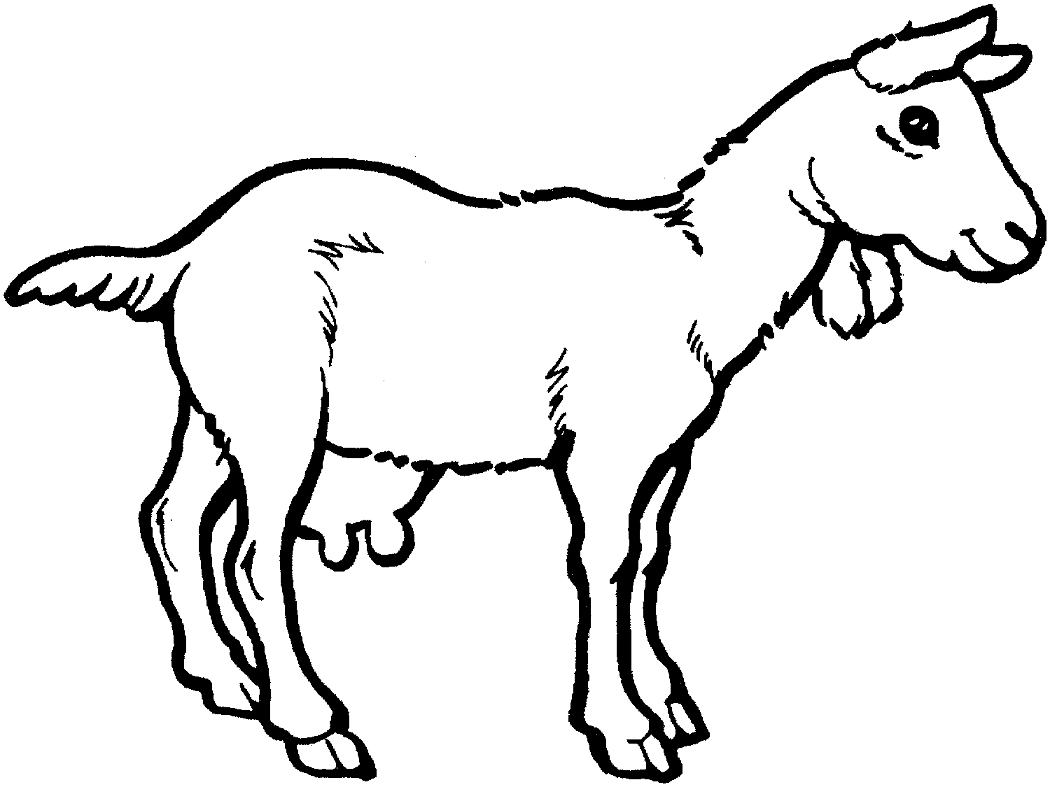 coloring picture of a goat free printable goat coloring pages for kids coloring a goat picture of 
