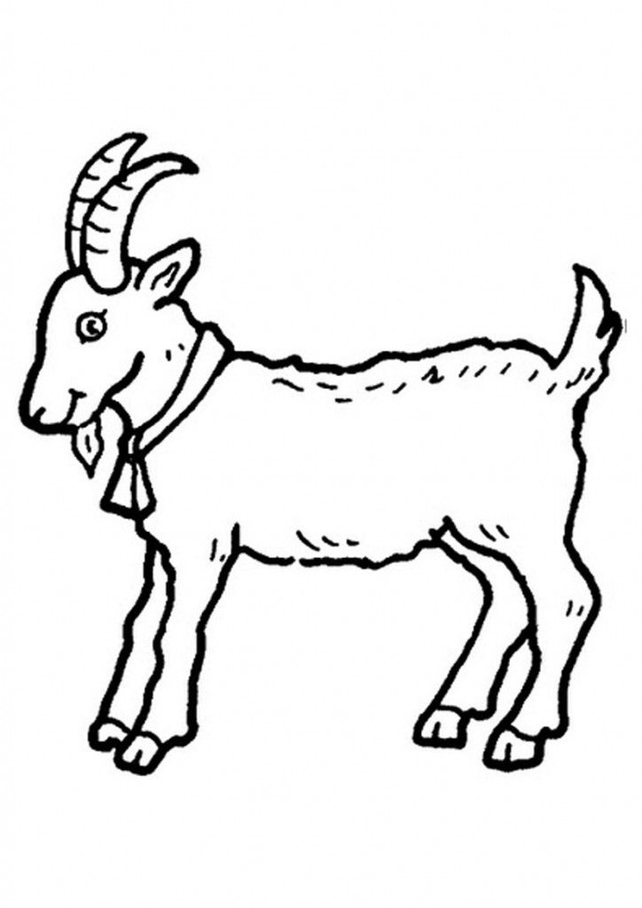 coloring picture of a goat free printable zebra coloring pages for kids pictures to a of picture coloring goat 