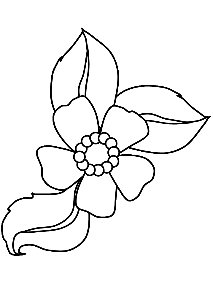 coloring picture of flower cartoon flowers coloring pages cartoon coloring pages picture flower coloring of 