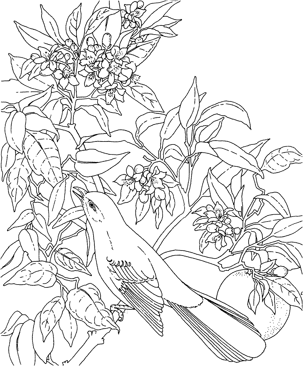 coloring picture of flower free online flower colouring page of flower coloring picture 