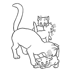 coloring pictures of cats free printable cat coloring pages for kids cool2bkids coloring of cats pictures 