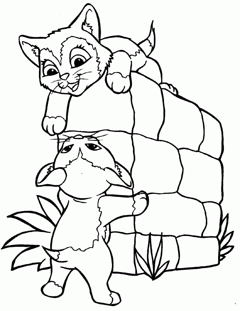 coloring pictures of cats free printable cat coloring pages for kids of pictures coloring cats 